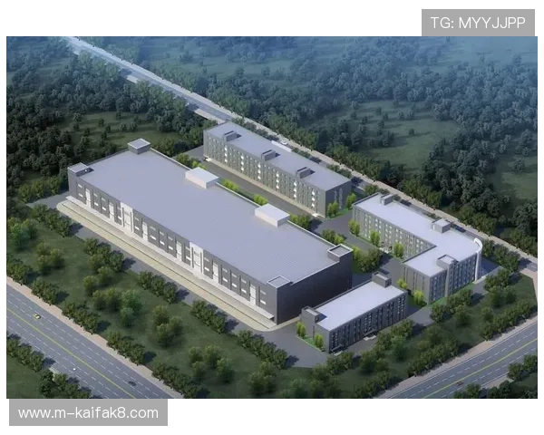 凯发集团简介资料分析行业内的竞争优势与未来增长点